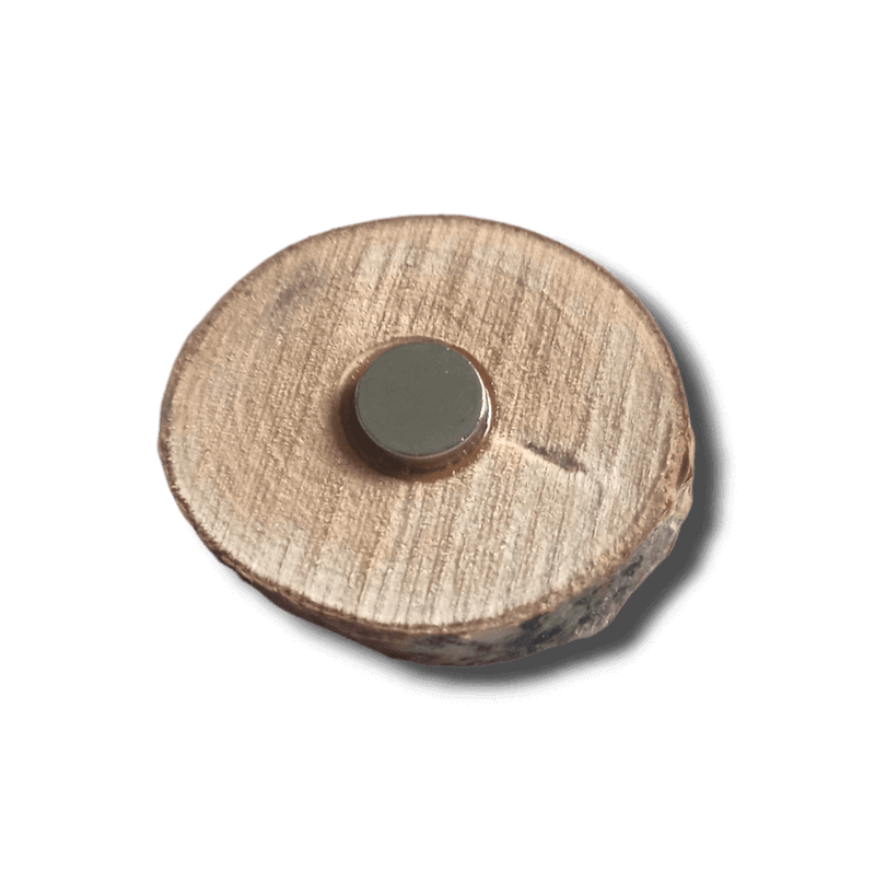 Koivu jääkaappimagneetti